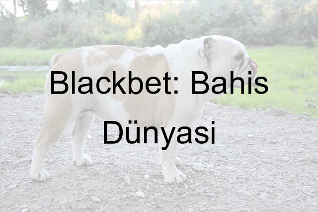 Blackbet