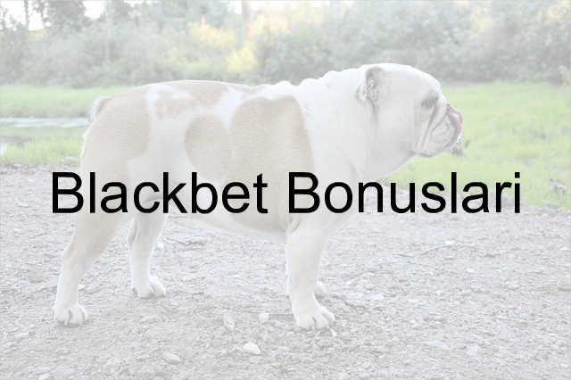 Blackbet bonus