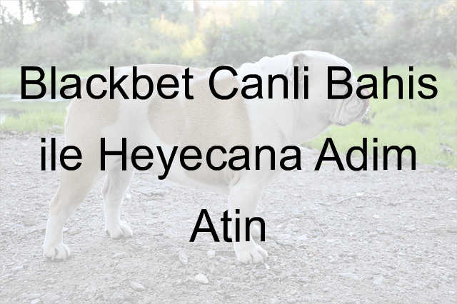 Blackbet canlı bahis