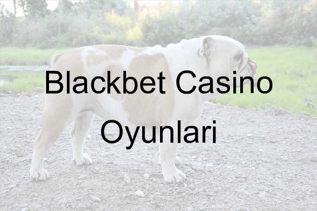 Blackbet casino oyunları