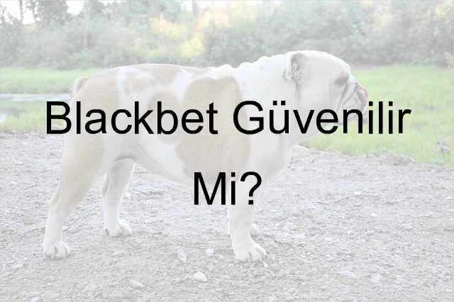 Blackbet güvenilir mi