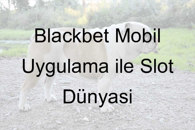 Blackbet mobil uygulama