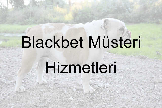 Blackbet müşteri hizmetleri