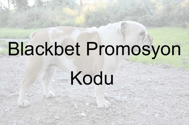 Blackbet promosyon kodu