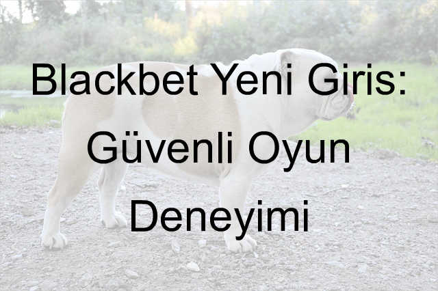 Blackbet yeni giriş